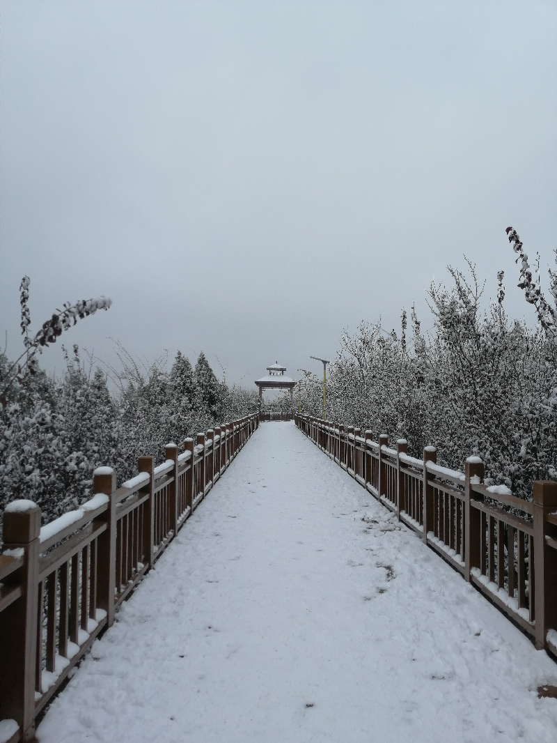 2020年岳渎初雪