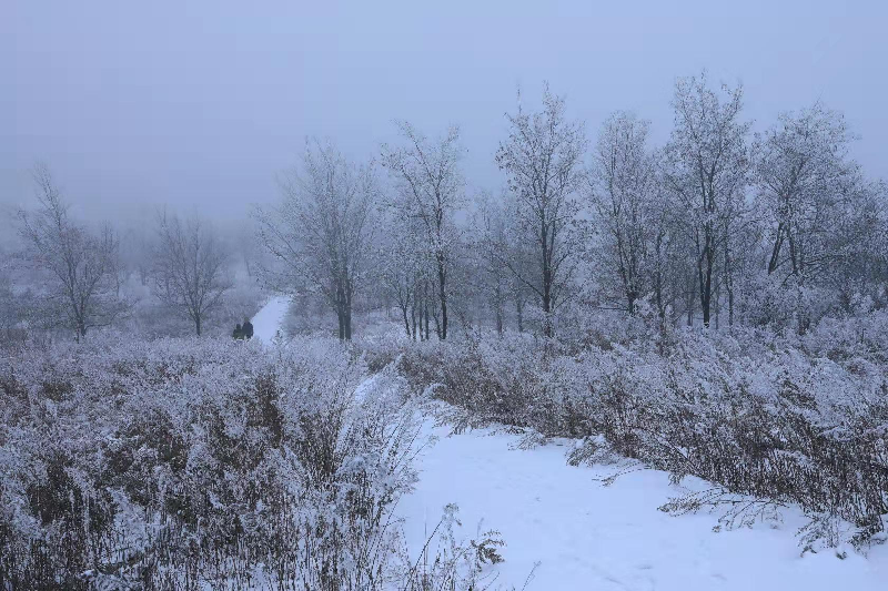 矿山公园雪景