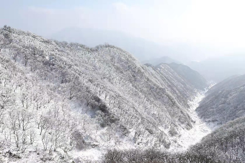 秦岭雪景（蒿岔）